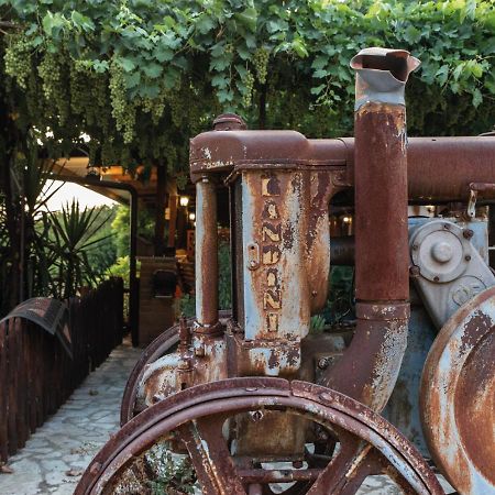 Il Sorgituro - Agriturismo Postiglione المظهر الخارجي الصورة