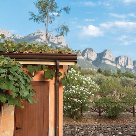 Il Sorgituro - Agriturismo Postiglione المظهر الخارجي الصورة