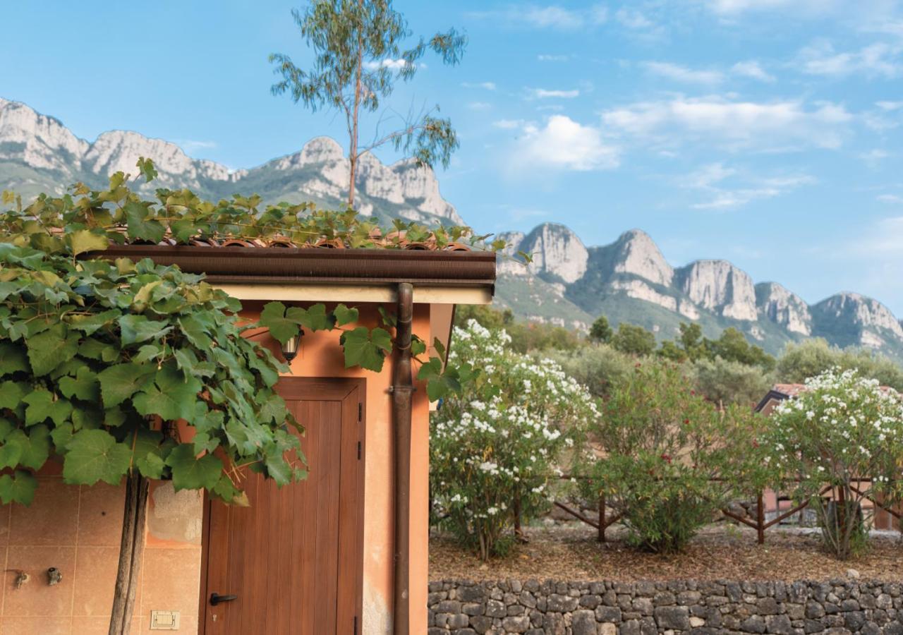 Il Sorgituro - Agriturismo Postiglione المظهر الخارجي الصورة