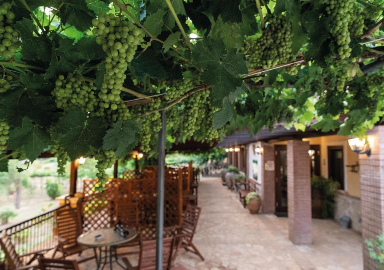 Il Sorgituro - Agriturismo Postiglione المظهر الخارجي الصورة