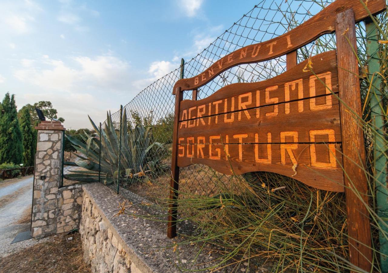 Il Sorgituro - Agriturismo Postiglione المظهر الخارجي الصورة